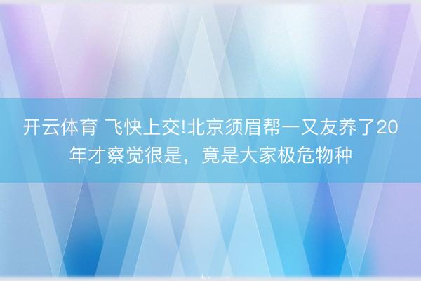开云体育 飞快上交!北京须眉帮一又友养了20年才察觉很是，竟是大家极危物种