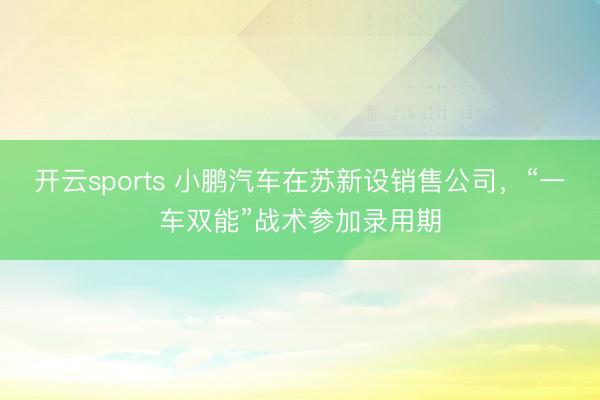 开云sports 小鹏汽车在苏新设销售公司，“一车双能”战术参加录用期