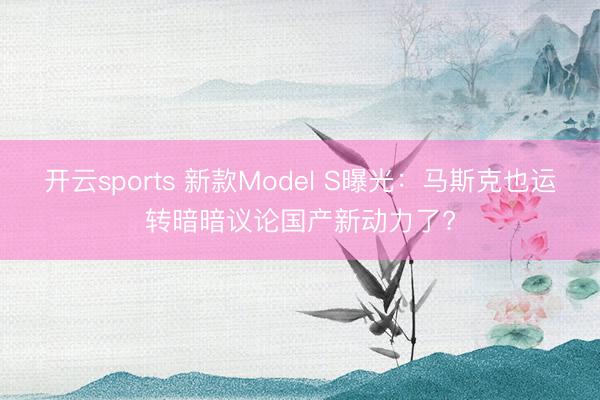 开云sports 新款Model S曝光:马斯克也运转暗暗议论国产新动力了?