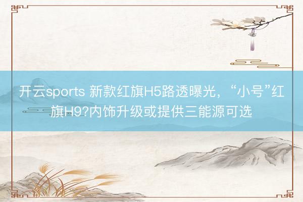 开云sports 新款红旗H5路透曝光,“小号”红旗H9?内饰升级或提供三能源可选
