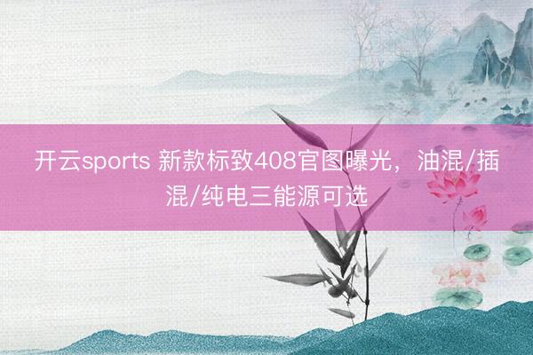 开云sports 新款标致408官图曝光,油混/插混/纯电三能源可选