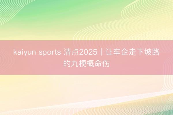 kaiyun sports 清点2025|让车企走下坡路的九梗概命伤