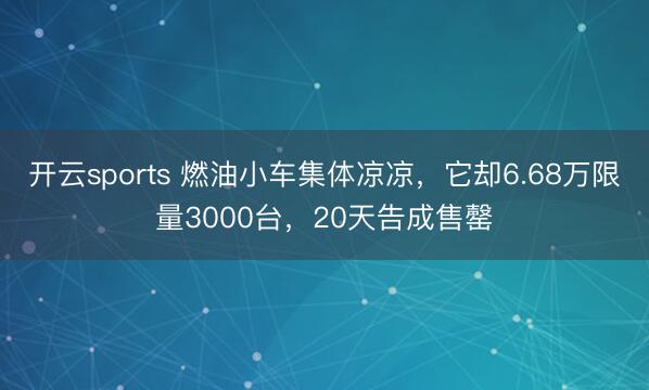开云sports 燃油小车集体凉凉，它却6.68万限量3000台，20天告成售罄
