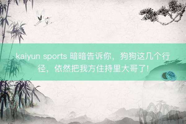 kaiyun sports 暗暗告诉你，狗狗这几个行径，依然把我方住持里大哥了!