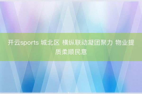 开云sports 城北区 横纵联动凝团聚力 物业提质柔顺民意