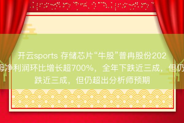 开云sports 存储芯片“牛股”普冉股份2025年第四季度归母净利润环比增长超700%,全年下跌近三成,但仍超出分析师预期