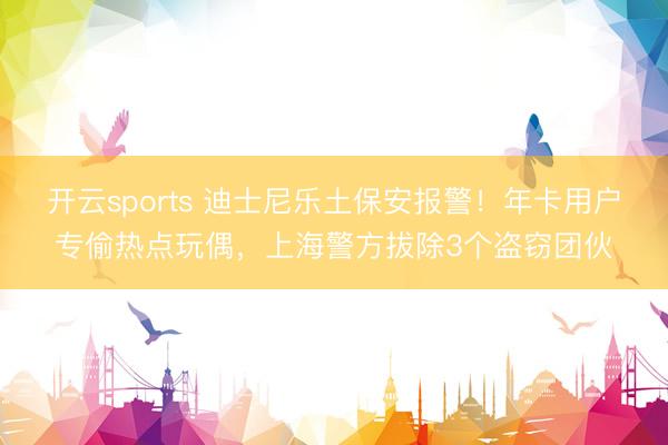 开云sports 迪士尼乐土保安报警!年卡用户专偷热点玩偶,上海警方拔除3个盗窃团伙