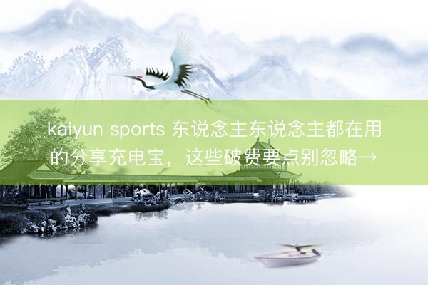 kaiyun sports 东说念主东说念主都在用的分享充电宝,这些破费要点别忽略→