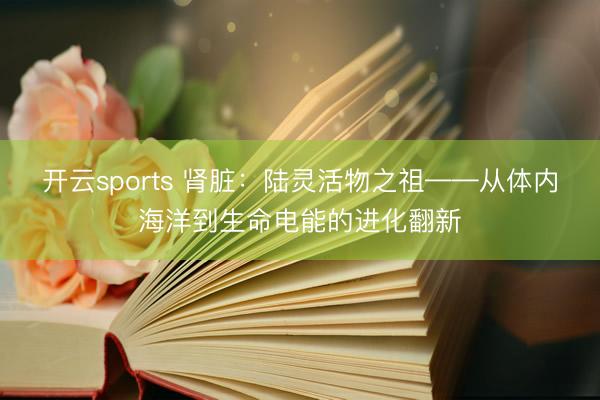 开云sports 肾脏：陆灵活物之祖——从体内海洋到生命电能的进化翻新