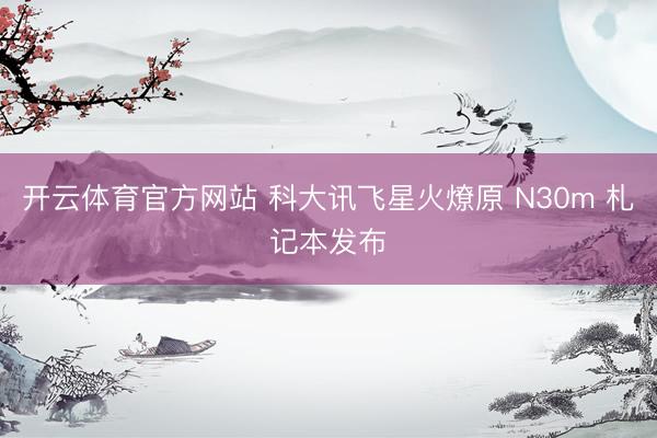 开云体育官方网站 科大讯飞星火燎原 N30m 札记本发布