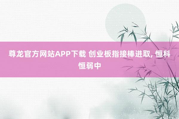 尊龙官方网站APP下载 创业板指接棒进取， 恒科恒弱中