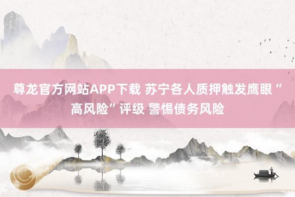 尊龙官方网站APP下载 苏宁各人质押触发鹰眼“高风险”评级 警惕债务风险