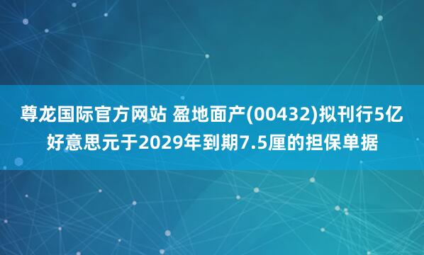 尊龙国际官方网站 盈地面产(00432)拟刊行5亿好意思元于2029年到期7.5厘的担保单据