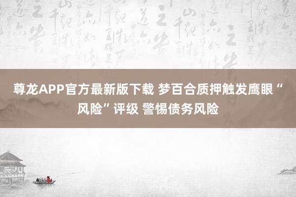 尊龙APP官方最新版下载 梦百合质押触发鹰眼“风险”评级 警惕债务风险