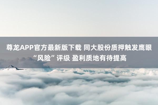 尊龙APP官方最新版下载 同大股份质押触发鹰眼“风险”评级 盈利质地有待提高