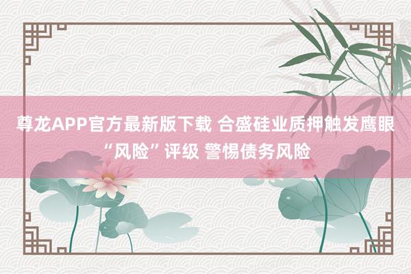 尊龙APP官方最新版下载 合盛硅业质押触发鹰眼“风险”评级 警惕债务风险