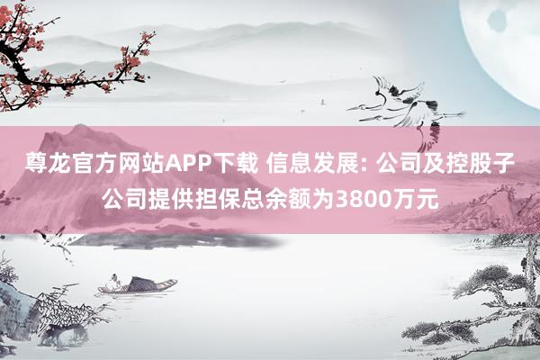 尊龙官方网站APP下载 信息发展: 公司及控股子公司提供担保总余额为3800万元