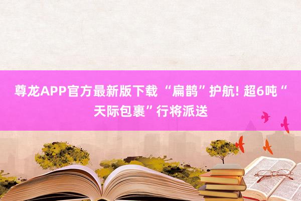 尊龙APP官方最新版下载 “扁鹊”护航! 超6吨“天际包裹”行将派送