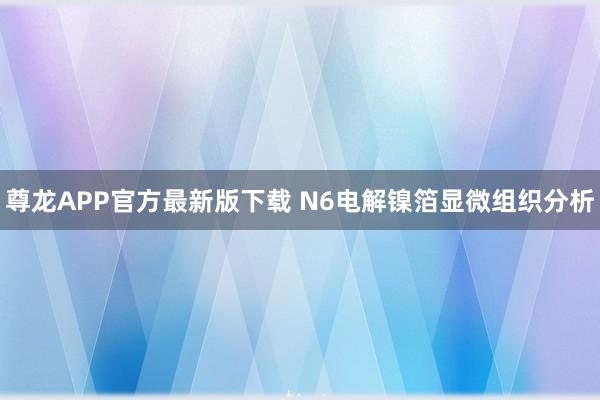 尊龙APP官方最新版下载 N6电解镍箔显微组织分析