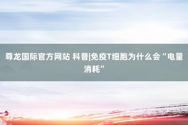 尊龙国际官方网站 科普|免疫T细胞为什么会“电量消耗”