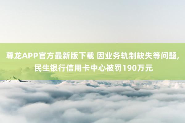 尊龙APP官方最新版下载 因业务轨制缺失等问题， 民生银行信用卡中心被罚190万元