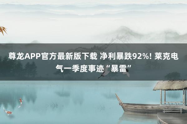 尊龙APP官方最新版下载 净利暴跌92%! 莱克电气一季度事迹“暴雷”