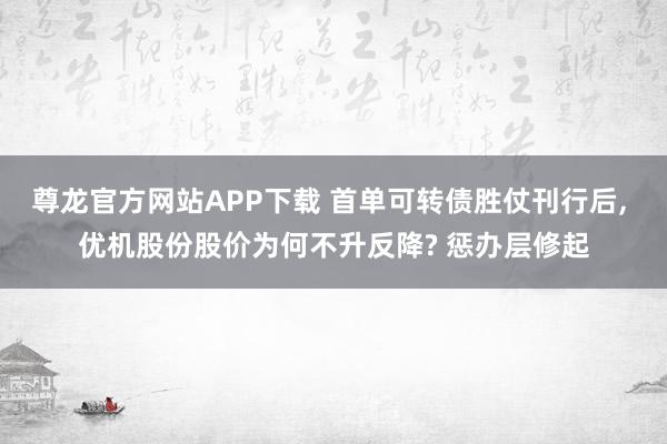 尊龙官方网站APP下载 首单可转债胜仗刊行后， 优机股份股价为何不升反降? 惩办层修起