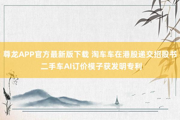 尊龙APP官方最新版下载 淘车车在港股递交招股书 二手车AI订价模子获发明专利