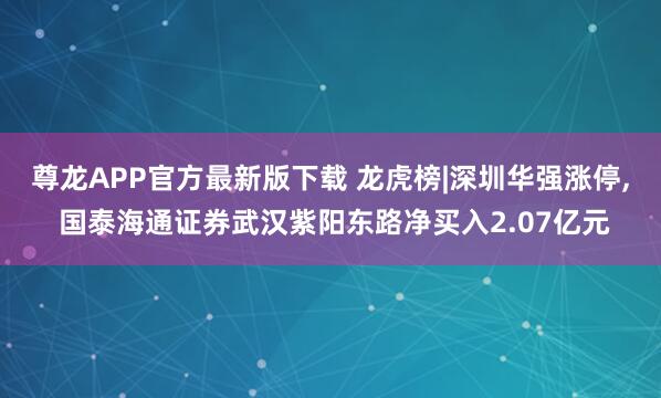 尊龙APP官方最新版下载 龙虎榜|深圳华强涨停, 国泰海通证券武汉紫阳东路净买入2.07亿元