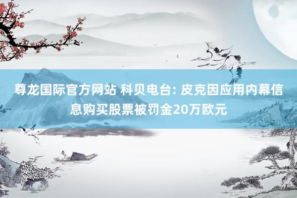 尊龙国际官方网站 科贝电台: 皮克因应用内幕信息购买股票被罚金20万欧元