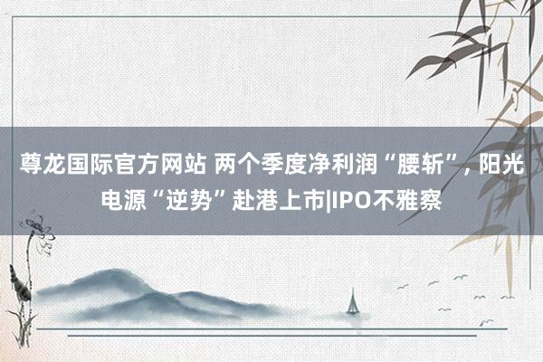 尊龙国际官方网站 两个季度净利润“腰斩”, 阳光电源“逆势”赴港上市|IPO不雅察