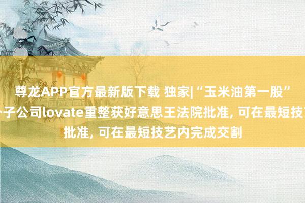 尊龙APP官方最新版下载 独家|“玉米油第一股”西王食物境外子公司lovate重整获好意思王法院批准, 可在最短技艺内完成交割