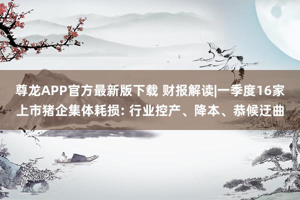 尊龙APP官方最新版下载 财报解读|一季度16家上市猪企集体耗损: 行业控产、降本、恭候迂曲