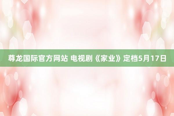 尊龙国际官方网站 电视剧《家业》定档5月17日