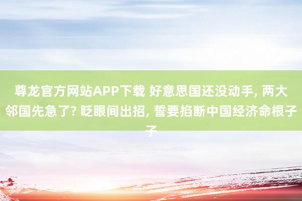 尊龙官方网站APP下载 好意思国还没动手， 两大邻国先急了? 眨眼间出招， 誓要掐断中国经济命根子