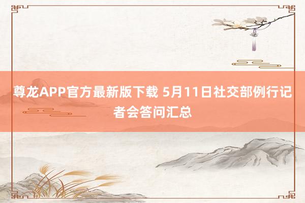 尊龙APP官方最新版下载 5月11日社交部例行记者会答问汇总