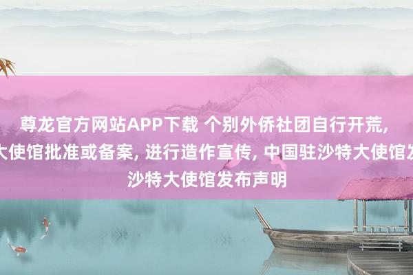 尊龙官方网站APP下载 个别外侨社团自行开荒, 宣称经大使馆批准或备案, 进行造作宣传, 中国驻沙特大使馆发布声明