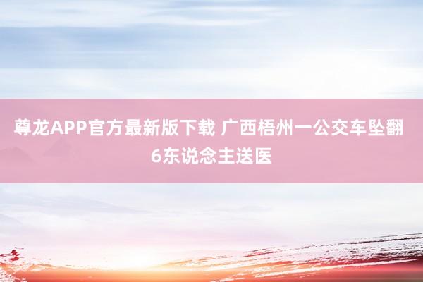 尊龙APP官方最新版下载 广西梧州一公交车坠翻 6东说念主送医