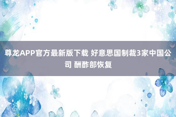 尊龙APP官方最新版下载 好意思国制裁3家中国公司 酬酢部恢复