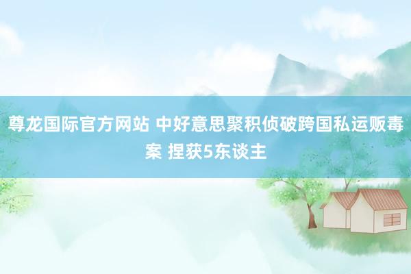 尊龙国际官方网站 中好意思聚积侦破跨国私运贩毒案 捏获5东谈主