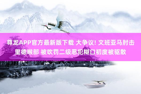 尊龙APP官方最新版下载 大争议! 文班亚马肘击里德喉部 被吹罚二级恶犯糊口初度被驱散