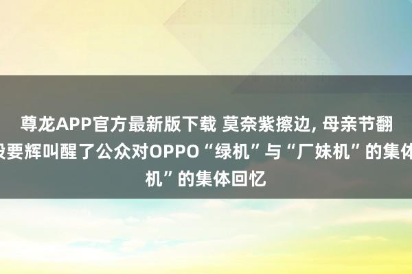 尊龙APP官方最新版下载 莫奈紫擦边， 母亲节翻车: 段要辉叫醒了公众对OPPO“绿机”与“厂妹机”的集体回忆