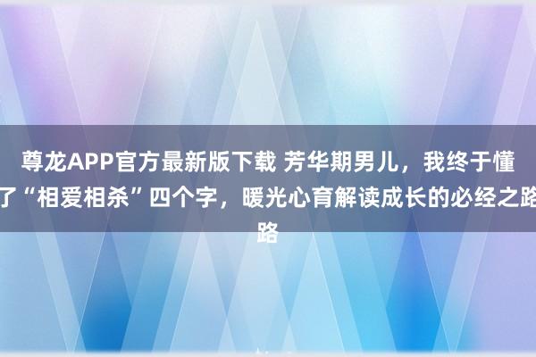 尊龙APP官方最新版下载 芳华期男儿，我终于懂了“相爱相杀”四个字，暖光心育解读成长的必经之路