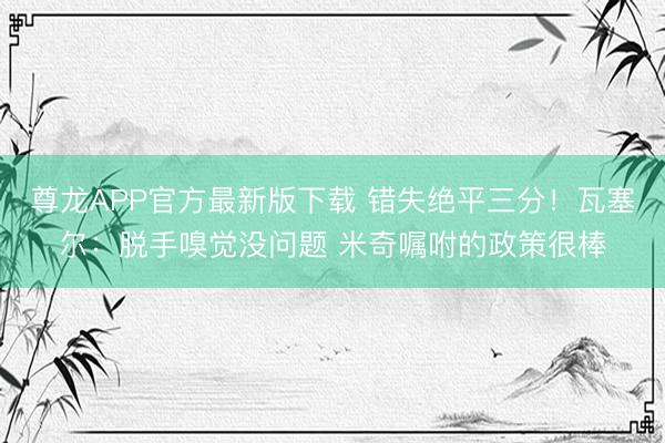 尊龙APP官方最新版下载 错失绝平三分!瓦塞尔:脱手嗅觉没问题 米奇嘱咐的政策很棒