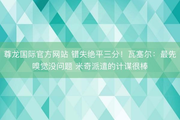 尊龙国际官方网站 错失绝平三分！瓦塞尔：最先嗅觉没问题 米奇派遣的计谋很棒