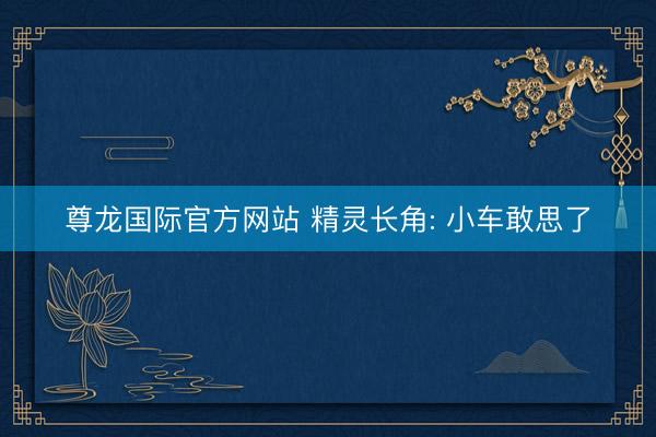 尊龙国际官方网站 精灵长角: 小车敢思了