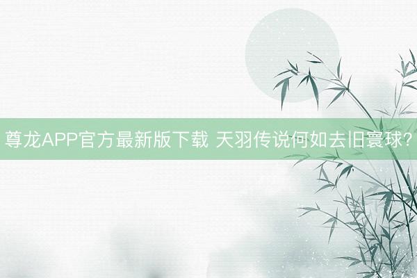 尊龙APP官方最新版下载 天羽传说何如去旧寰球？