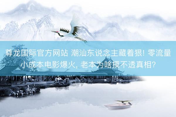 尊龙国际官方网站 潮汕东说念主藏着狠! 零流量小成本电影爆火， 老本为啥摸不透真相?