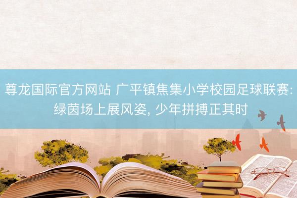 尊龙国际官方网站 广平镇焦集小学校园足球联赛: 绿茵场上展风姿, 少年拼搏正其时