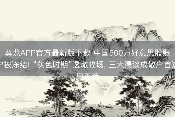 尊龙APP官方最新版下载 中国500万好意思股账户被冻结! “灰色时期”透澈收场， 三大渠谈成散户首选